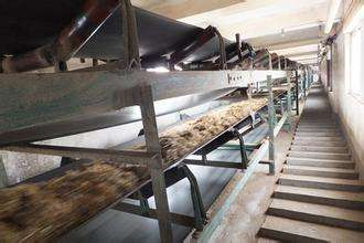 電子皮帶秤 電子皮帶秤